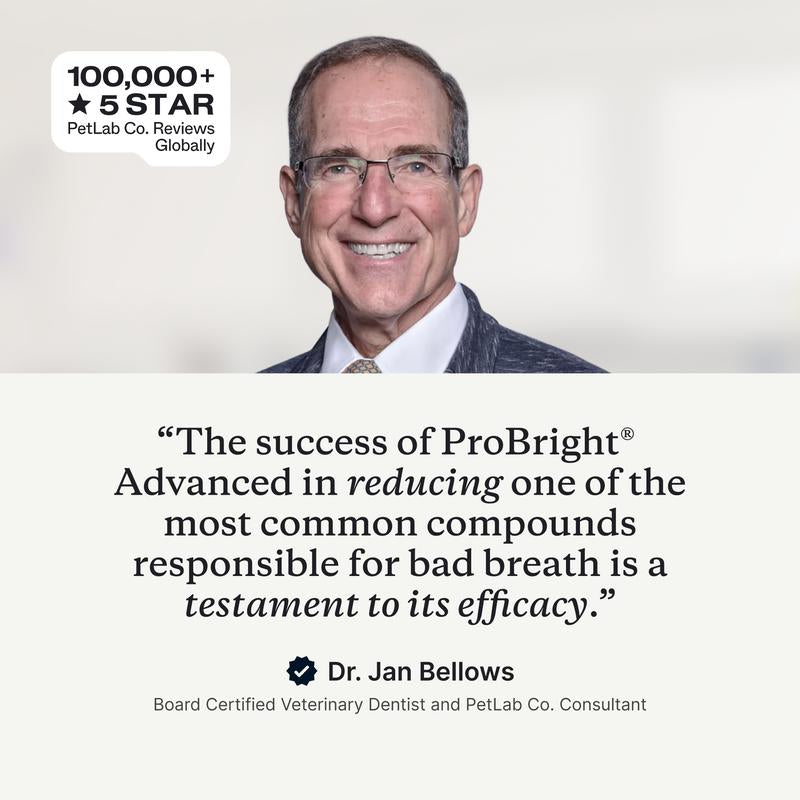 Probright Advanced Dental Powder - Helps Reduce Bad Breath, Clean Teeth and Target Tartar Buildup. Backed by Two Clinical Studies