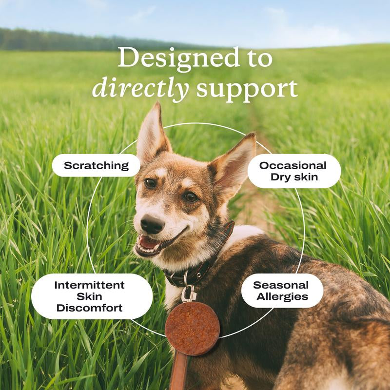 Itch Relief Pro - Soft Chews Containing Powerful Antioxidants to Target Scratching, Help Maintain Skin Moisture, and Support with Seasonal Skin Allergies.