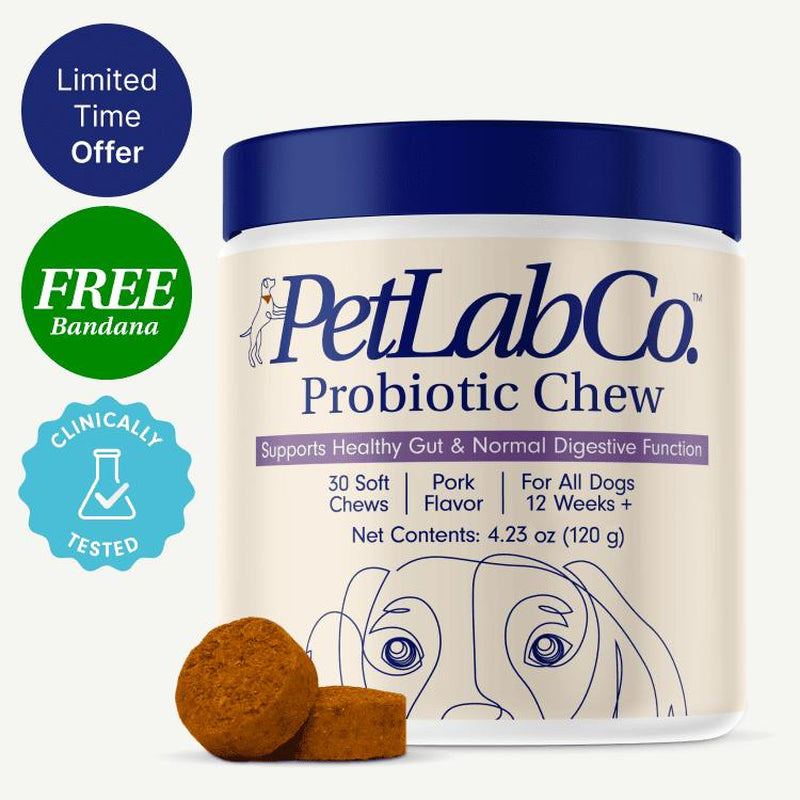 Probiotics for Dogs Soft Chews for Seasonal Allergies, Gut, and Digestive Health. Vet-Reviewed, Premium-Quality Ingredients - Supplements