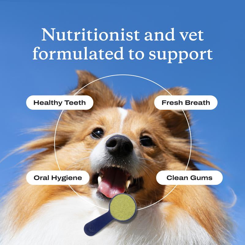 Probright Advanced Dental Powder - Helps Reduce Bad Breath, Clean Teeth and Target Tartar Buildup. Backed by Two Clinical Studies