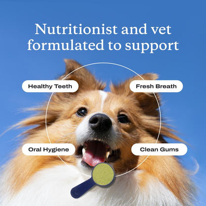 Probright Advanced Dental Powder - Helps Reduce Bad Breath, Clean Teeth and Target Tartar Buildup. Backed by Two Clinical Studies