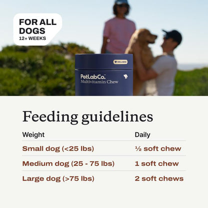 Dog Multivitamin – Daily Multivitamin for Dogs with 22 Vitamins and Minerals, Designed to Support Overall Health and Vitality