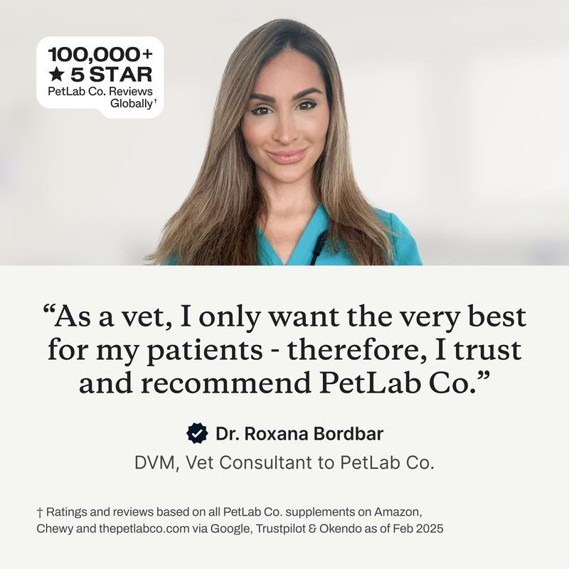 Dog Multivitamin – Daily Multivitamin for Dogs with 22 Vitamins and Minerals, Designed to Support Overall Health and Vitality