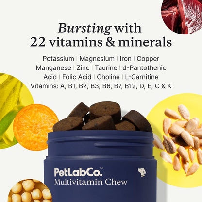 Dog Multivitamin – Daily Multivitamin for Dogs with 22 Vitamins and Minerals, Designed to Support Overall Health and Vitality