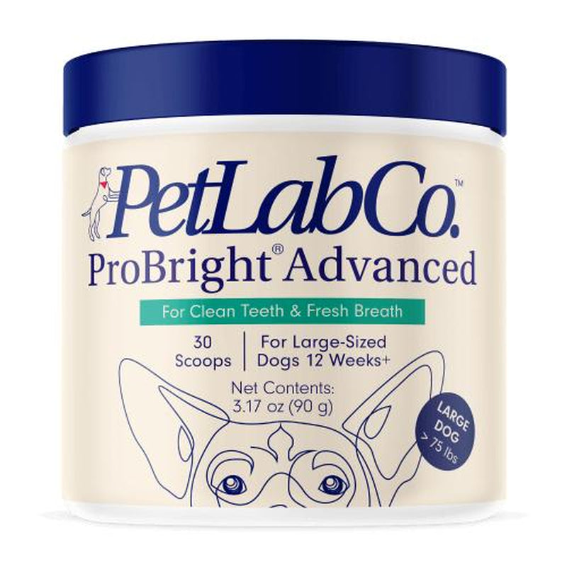 Probright Advanced Dental Powder - Helps Reduce Bad Breath, Clean Teeth and Target Tartar Buildup. Backed by Two Clinical Studies
