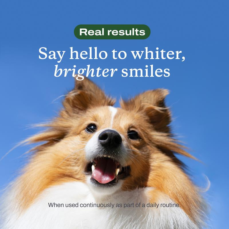 Dog & Cat Dental Formula – Daily Teeth Cleaner & Rinse